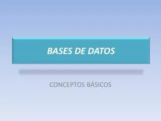 bases de datos