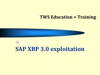SAP XBP 3.0 exploitation