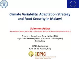 Climate Variability, Adaptation Strategy and Food Security in Malawi