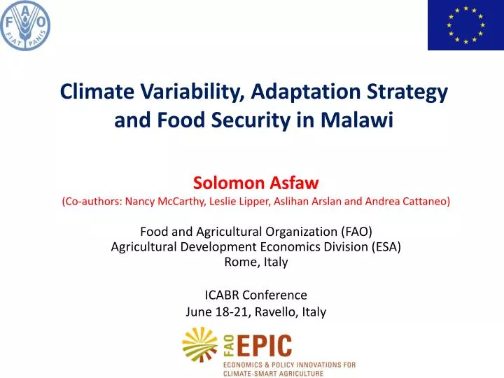 climate variability adaptation strategy and food security in malawi