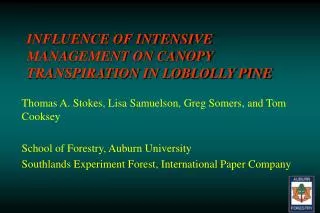 INFLUENCE OF INTENSIVE MANAGEMENT ON CANOPY TRANSPIRATION IN LOBLOLLY PINE