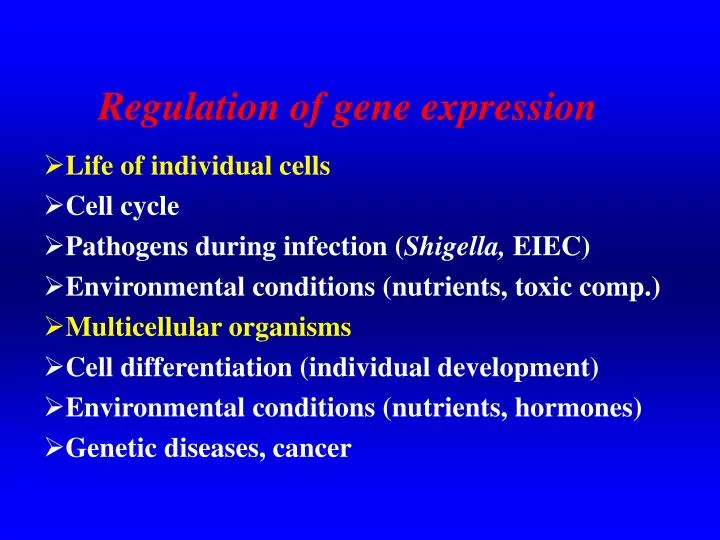 regulation of gene expression