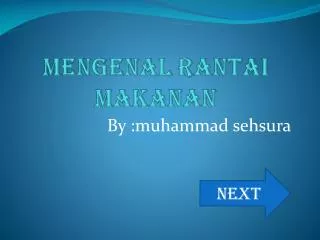 mengenal rantai makanan