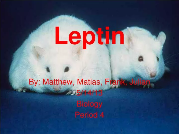 leptin