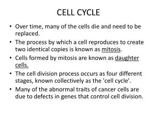 CELL CYCLE