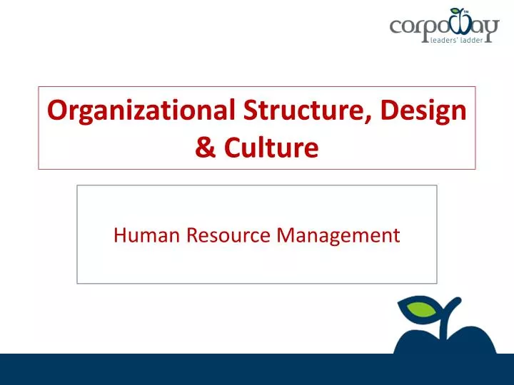 organizational structure design culture