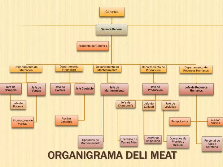 organigrama deli meat