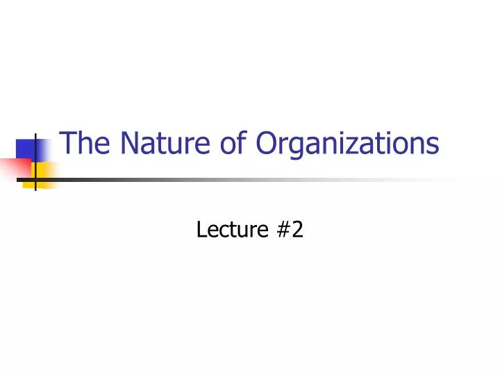 the nature of organizations