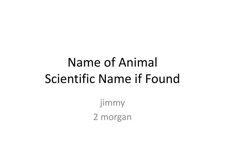 PPT - Name of Animal Scientific Name if Found PowerPoint Presentation