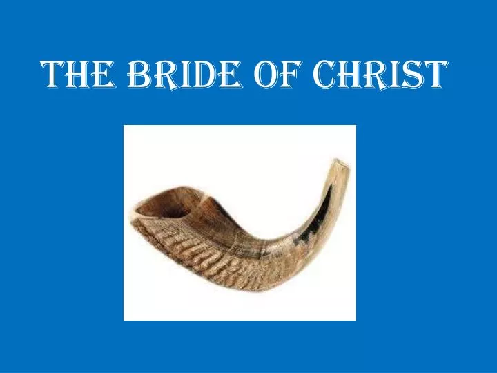 the bride of christ