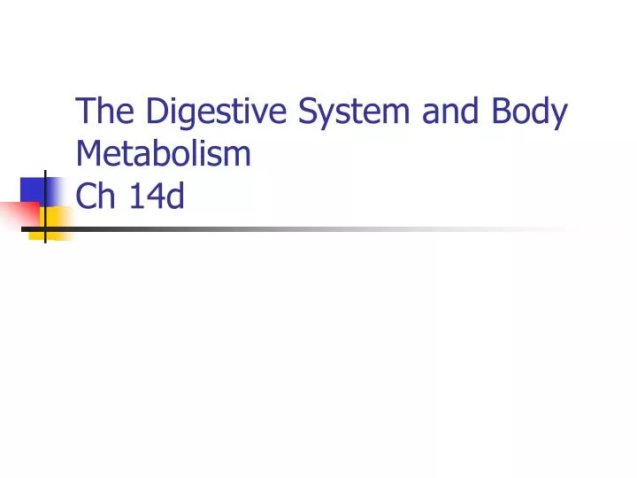 the digestive system and body metabolism ch 14d