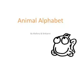 Animal Alphabet