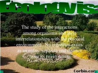 Ecology is: