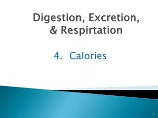 Digestion, Excretion, &amp; Respirtation