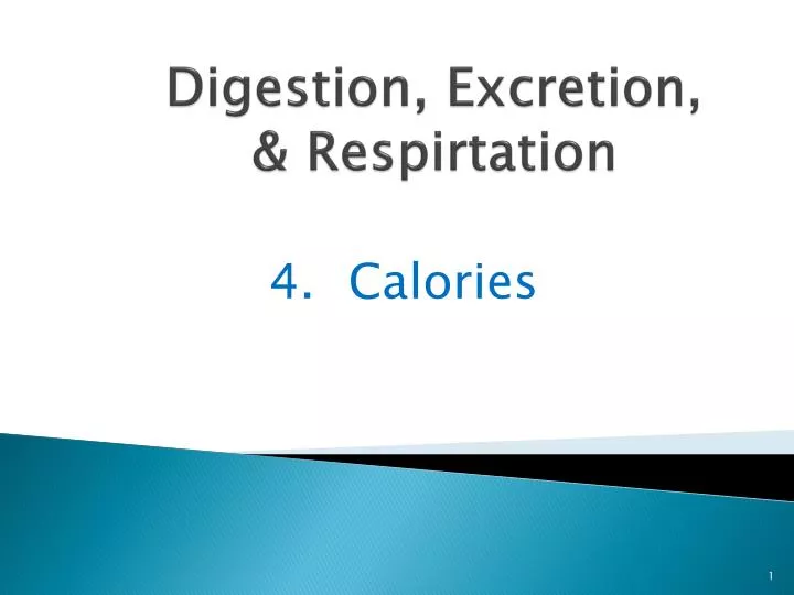 digestion excretion respirtation