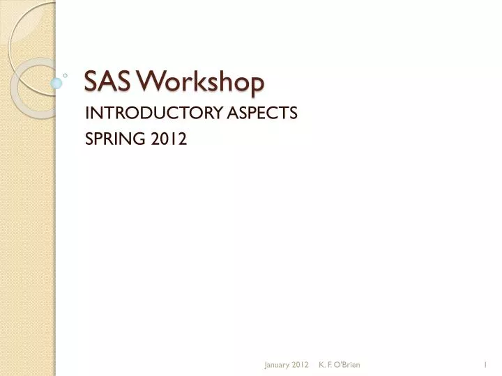 sas workshop