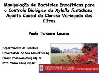 Departamento de Genética Universidade de São Paulo/ESALQ Email: ptlacava@esalqp.br
