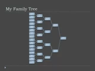 my family tree