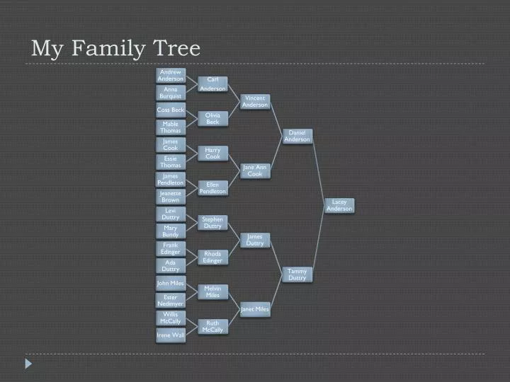 my family tree