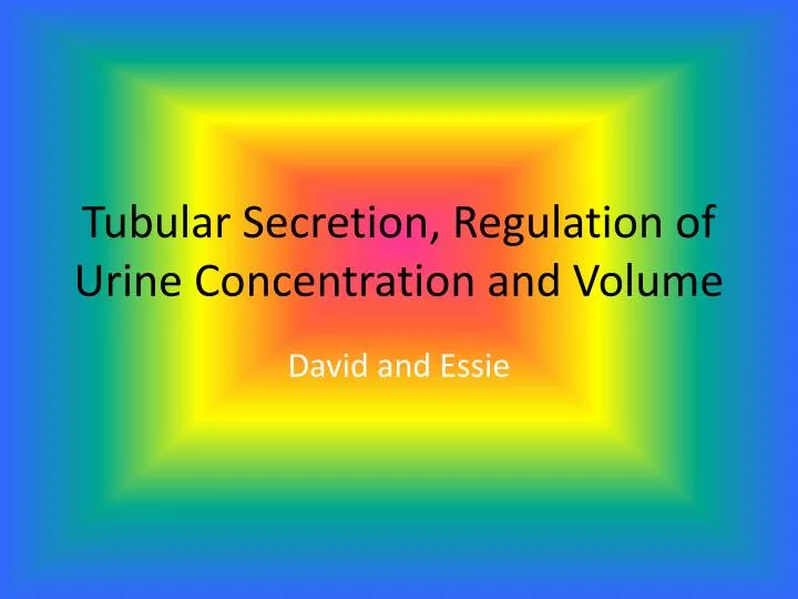 tubular secretion regulation of urine concentration and volume