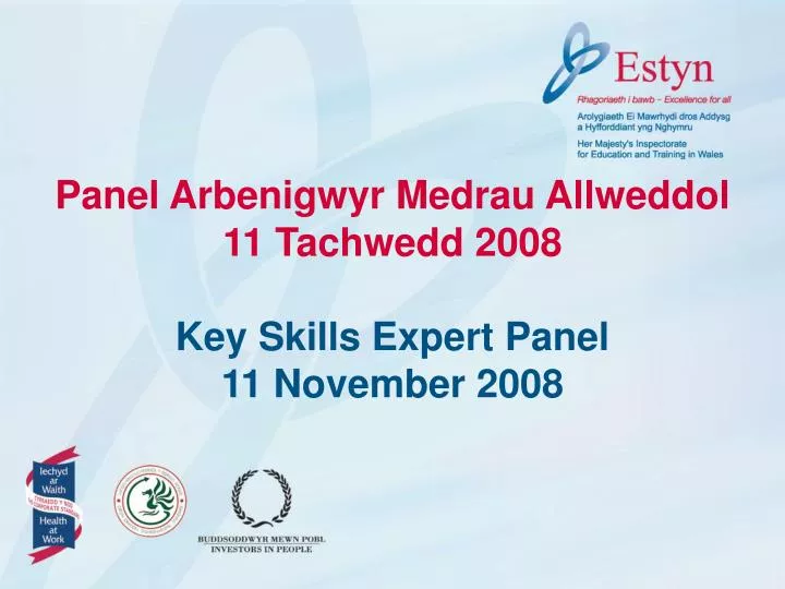 panel arbenigwyr medrau allweddol 11 tachwedd 2008 key skills expert panel 11 november 2008