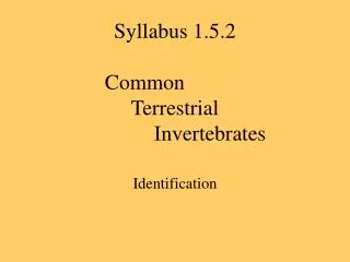 Syllabus 1.5.2 	Common			 Terrestrial 		Invertebrates