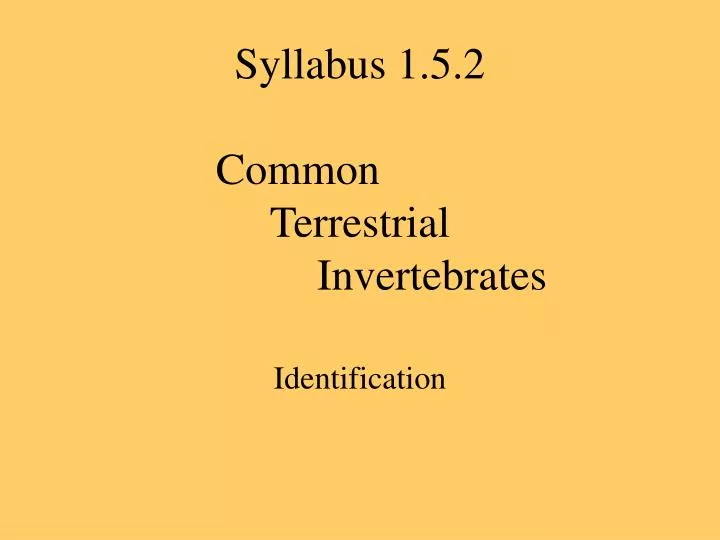 syllabus 1 5 2 common terrestrial invertebrates