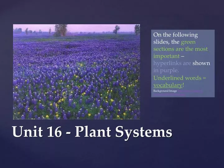 unit 16 plant systems