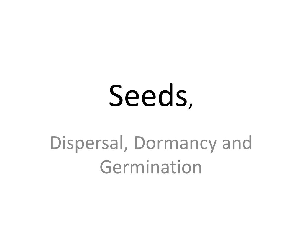 PPT - Seeds , PowerPoint Presentation, free download - ID:5364223