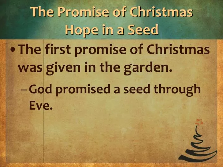 the promise of christmas hope in a seed