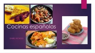 cocinas espa olas
