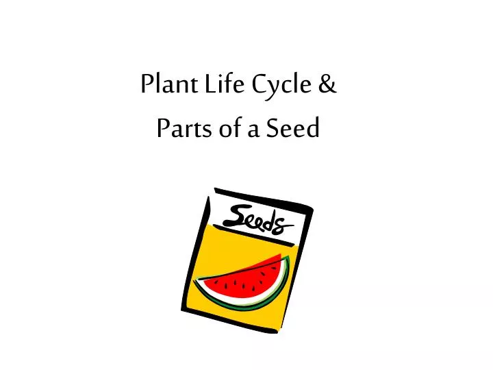 plant life cycle parts of a seed
