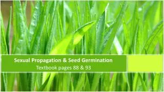 Sexual Propagation &amp; Seed Germination