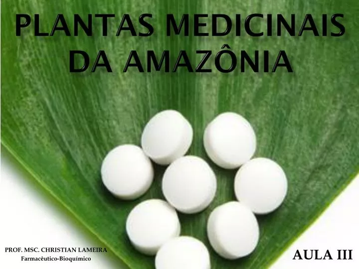 plantas medicinais da amaz nia