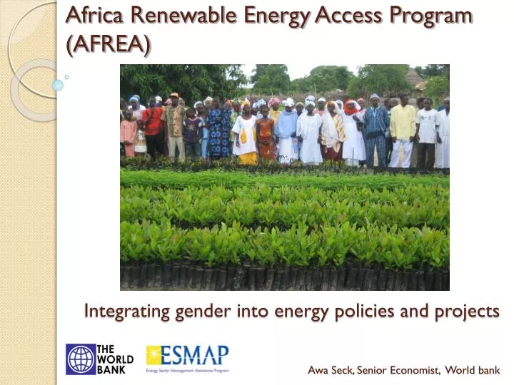 africa renewable energy access program afrea