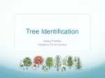 Tree Identification - slide 1