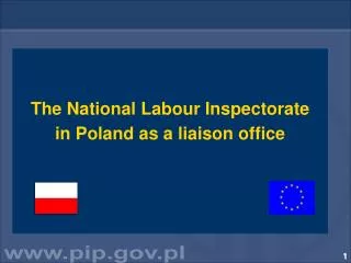 The National Labour Inspectorate in Poland as a liaison office