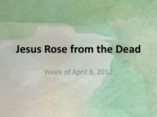 Jesus Rose from the Dead