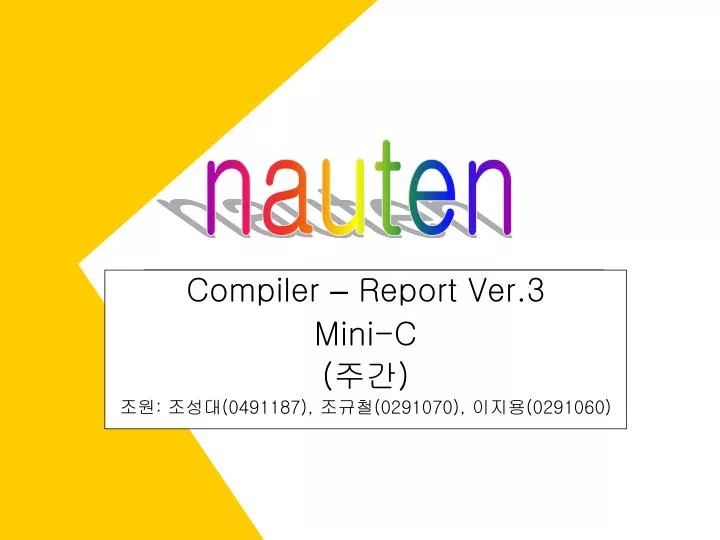 compiler report ver 3 mini c 0491187 0291070 0291060