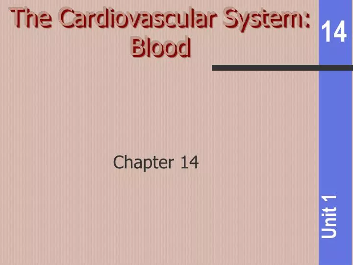 the cardiovascular system blood