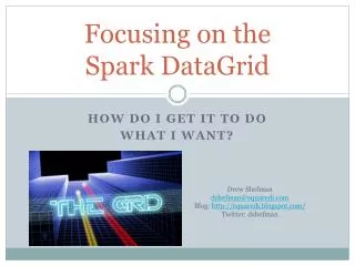 Focusing on the Spark DataGrid