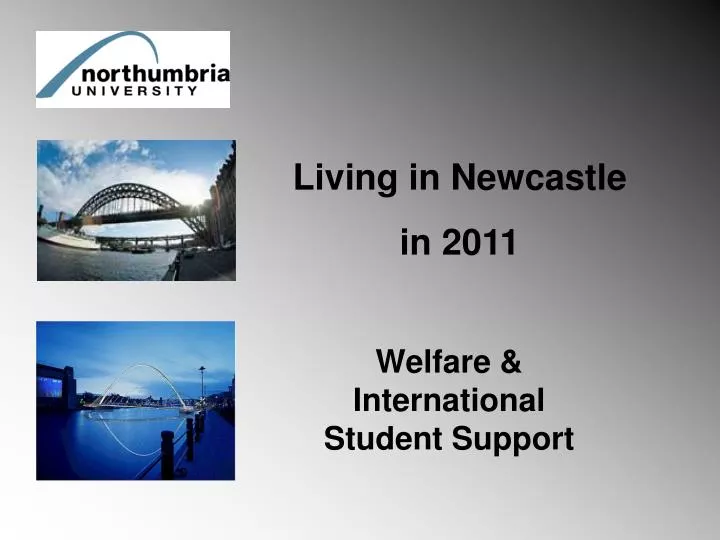 welfare international student support
