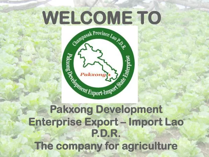 pakxong development enterprise export import lao p d r the company for agriculture