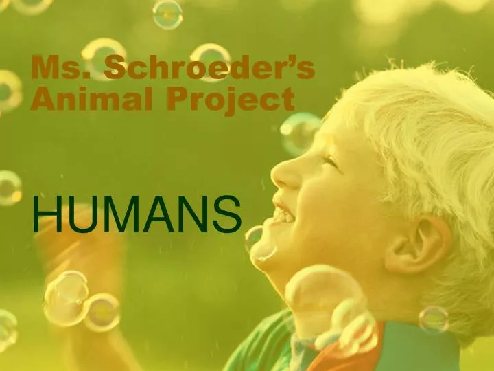 ms schroeder s animal project