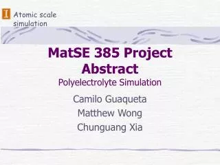 MatSE 385 Project Abstract Polyelectrolyte Simulation