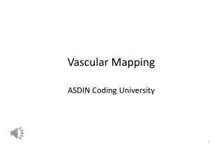 vascular mapping