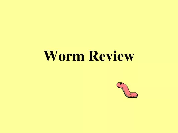 worm review