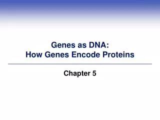 Genes as DNA: How Genes Encode Proteins