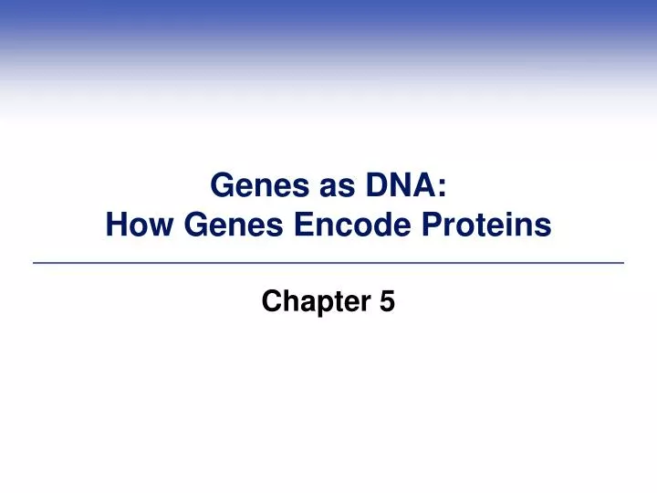 genes as dna how genes encode proteins