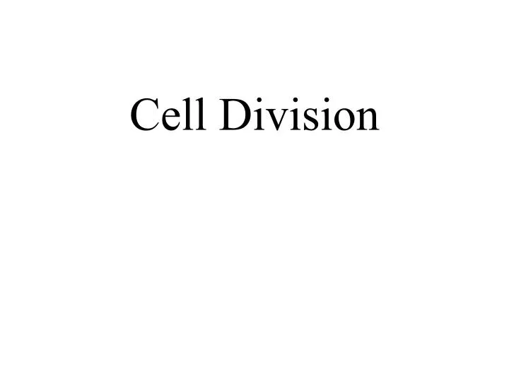 cell division